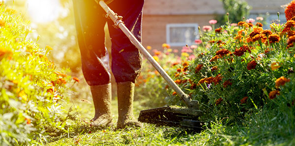 Fauchage des hautes herbes à Douai