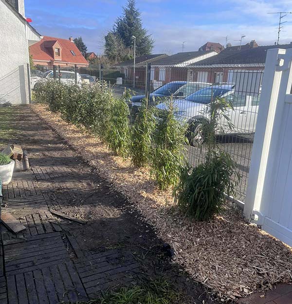 Plantation espaces verts Douai